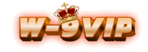 w-9vip logo